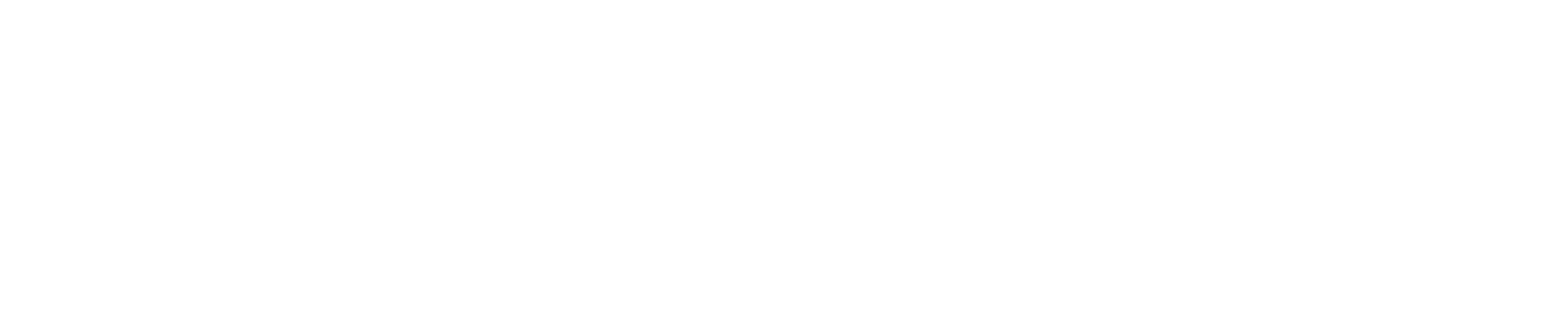 Zi Logo